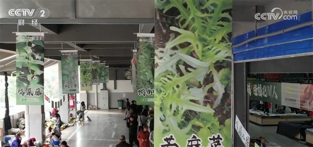 蕾带动消费 “舌尖经济”热度攀升释放新活力pg电子模拟器免费试玩“春天的味道”唤醒味(图2)